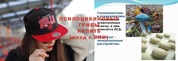 соль ск Зеленокумск
