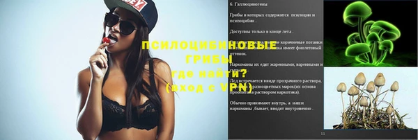 соль ск Зеленокумск