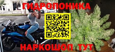 mdma Кингисепп
