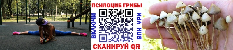 Псилоцибиновые грибы мухоморы Каменск-Шахтинский