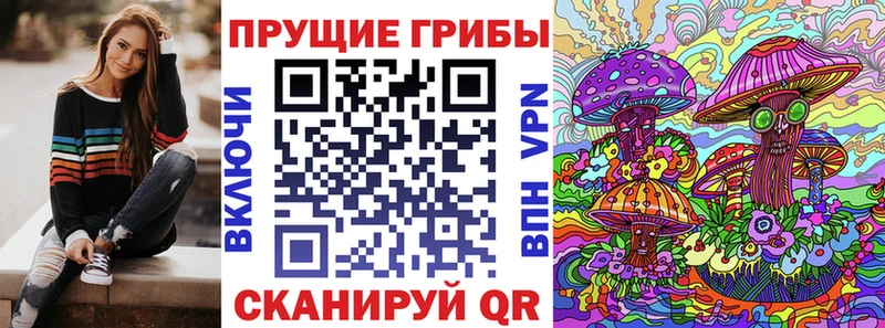 Псилоцибиновые грибы мицелий  Каменск-Шахтинский 