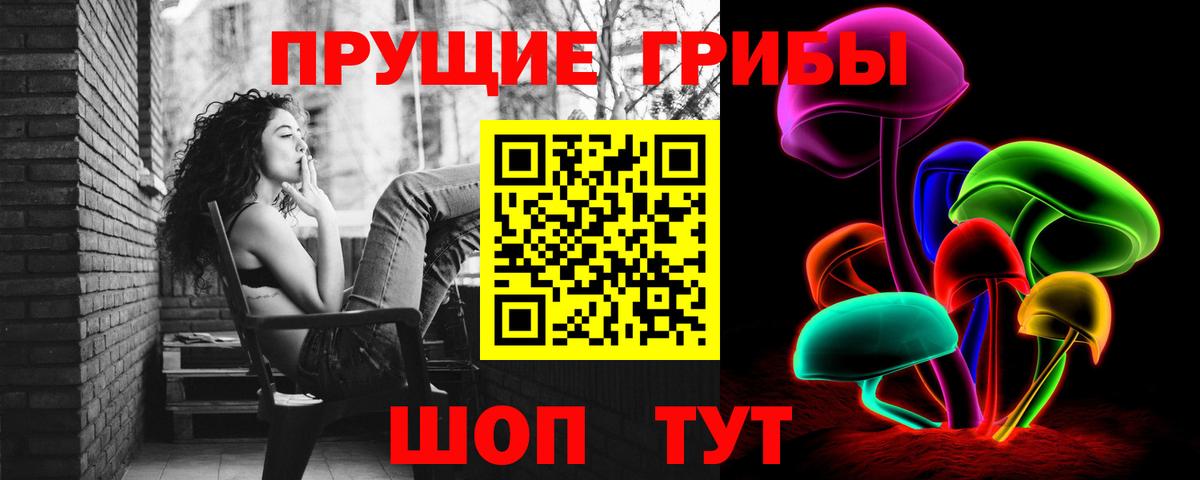 Галлюциногенные грибы GOLDEN TEACHER  Галлюциногенные грибы ЛСД  купить закладку  Каменск-Шахтинский  Вход с VPN 