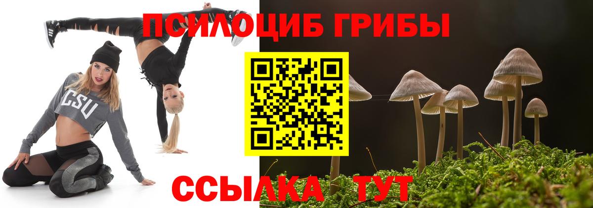 Псилоцибиновые грибы Cubensis Каменск-Шахтинский