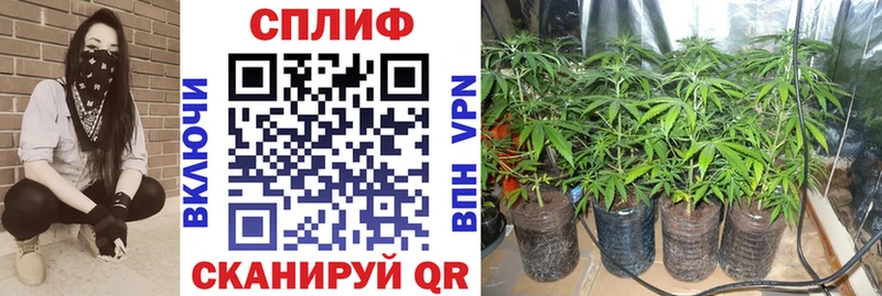 где продают наркотики  Каменск-Шахтинский  Марихуана марихуана 